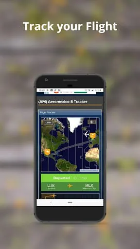 LAX Airport Flight Information