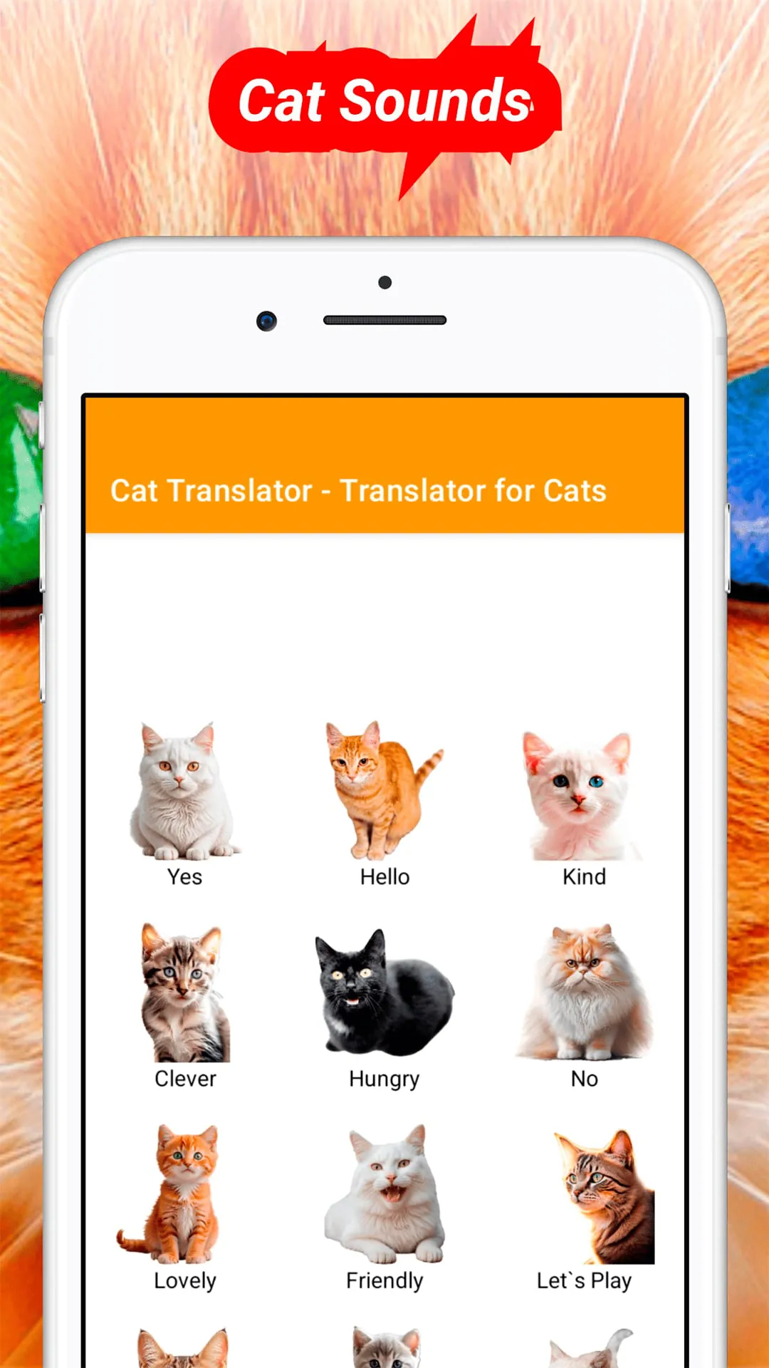 Translator for Cats Prank