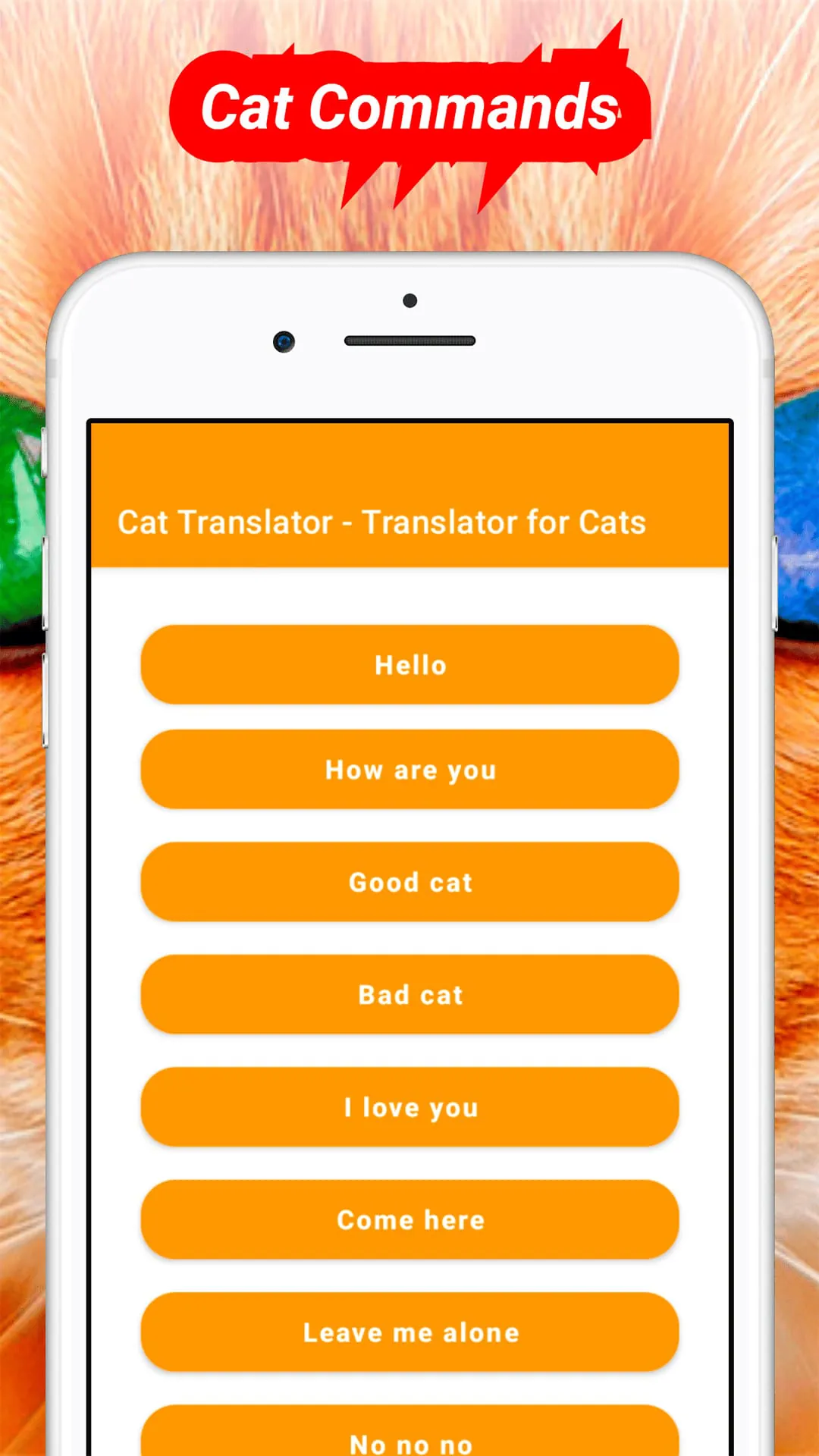 Translator for Cats Prank