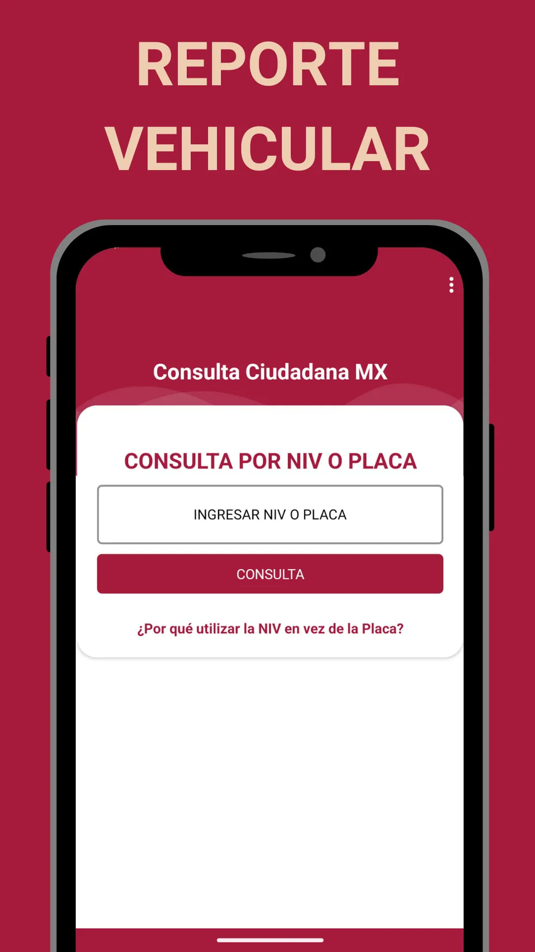 Historial Vehicular MX 2026