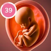 Pregnancy Tracker and Baby App