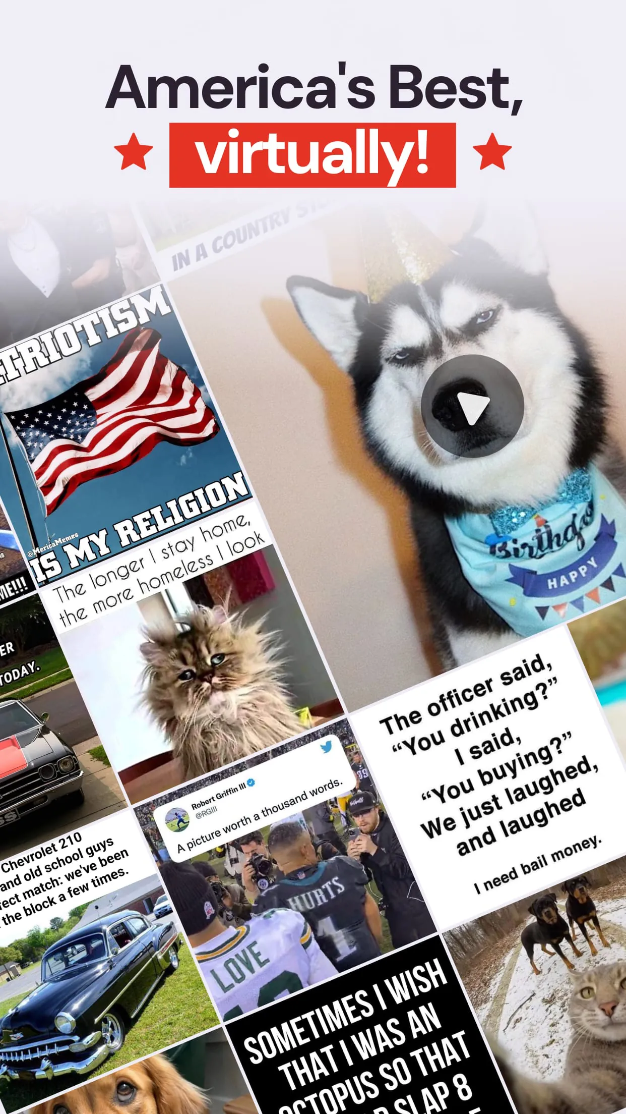 ABPV－America’s best pics