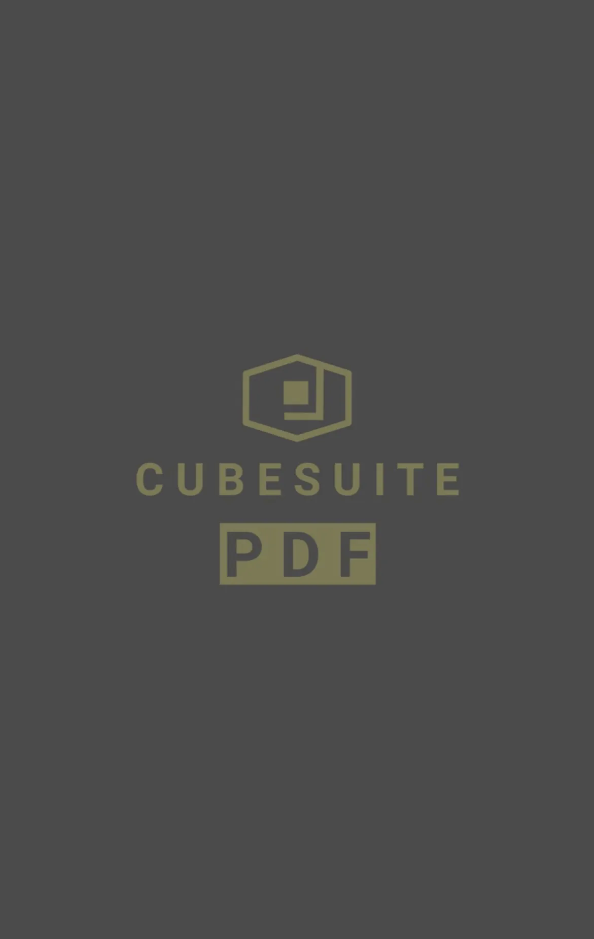 CubeSuite PDF