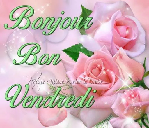 Bonjour Bonsoir Bonne Nuit