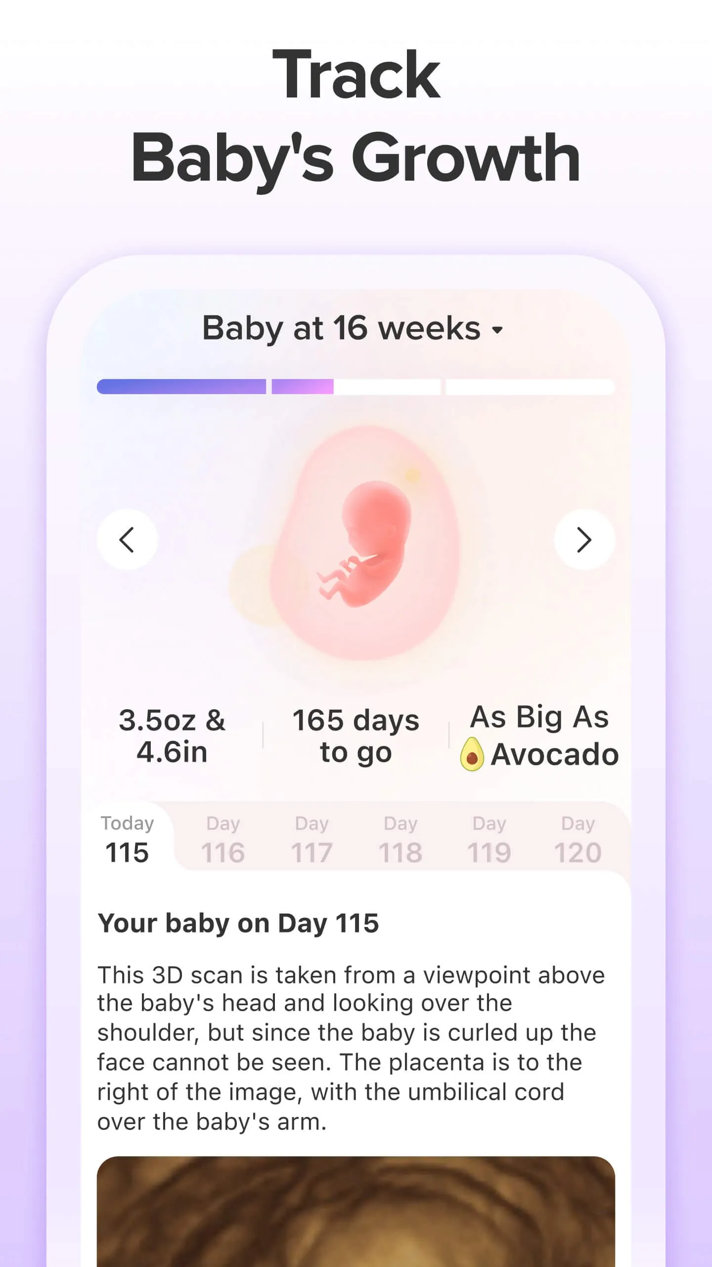 Pregnancy Tracker App | Glow