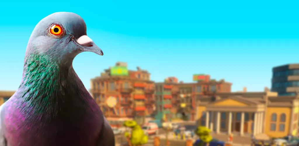 Pigeon