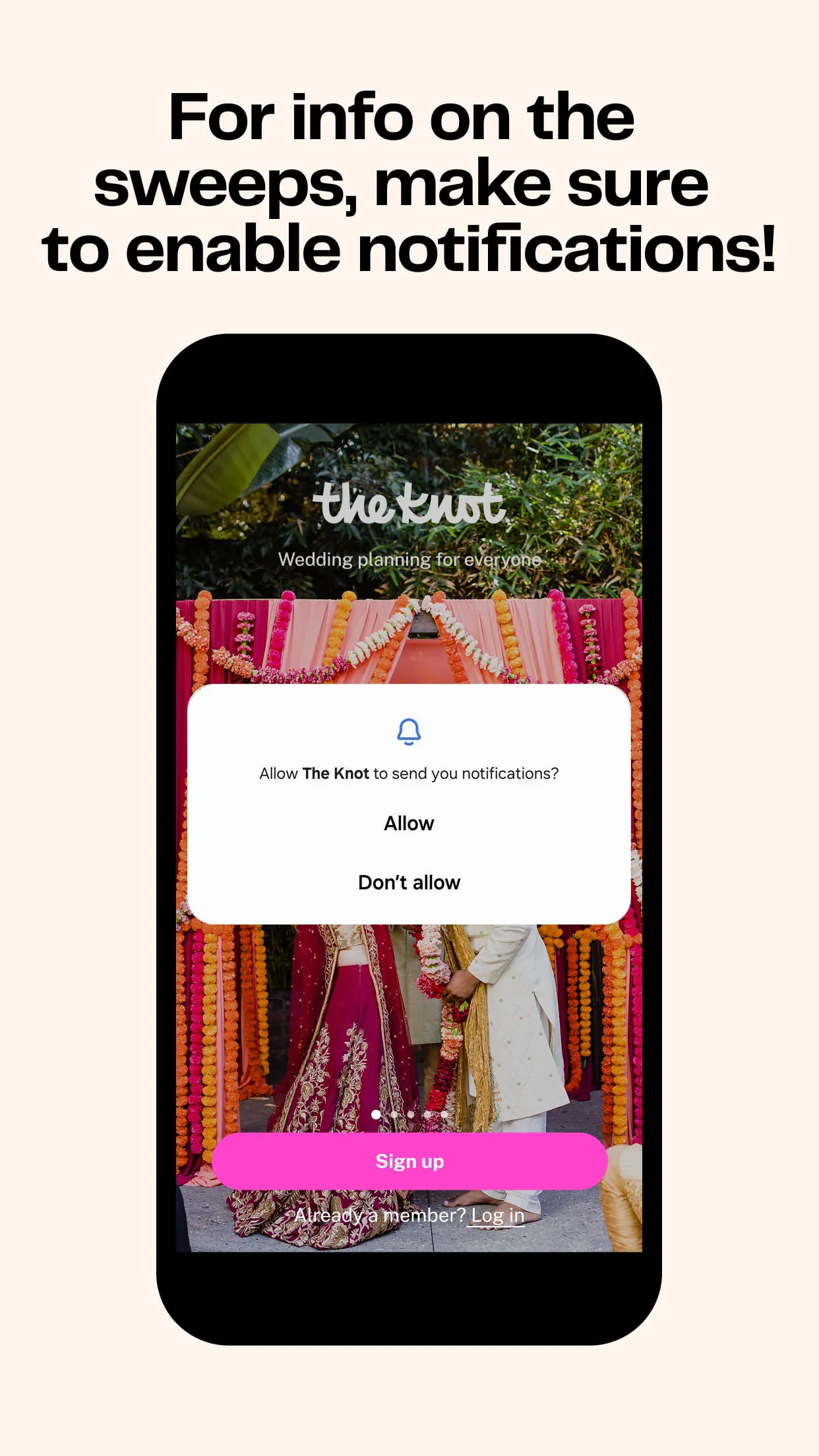 The Knot Wedding Planner