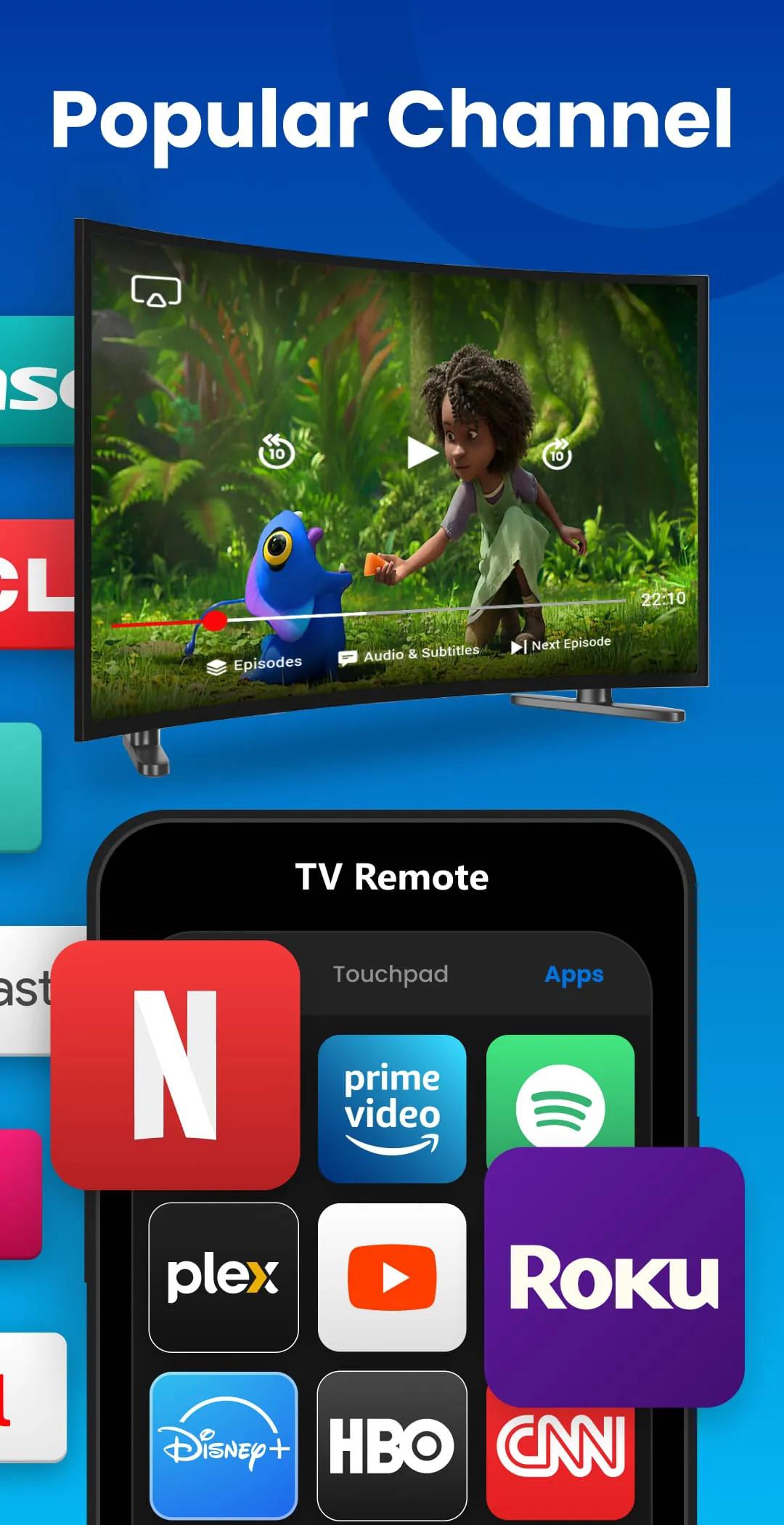 Universal TV Remote Control