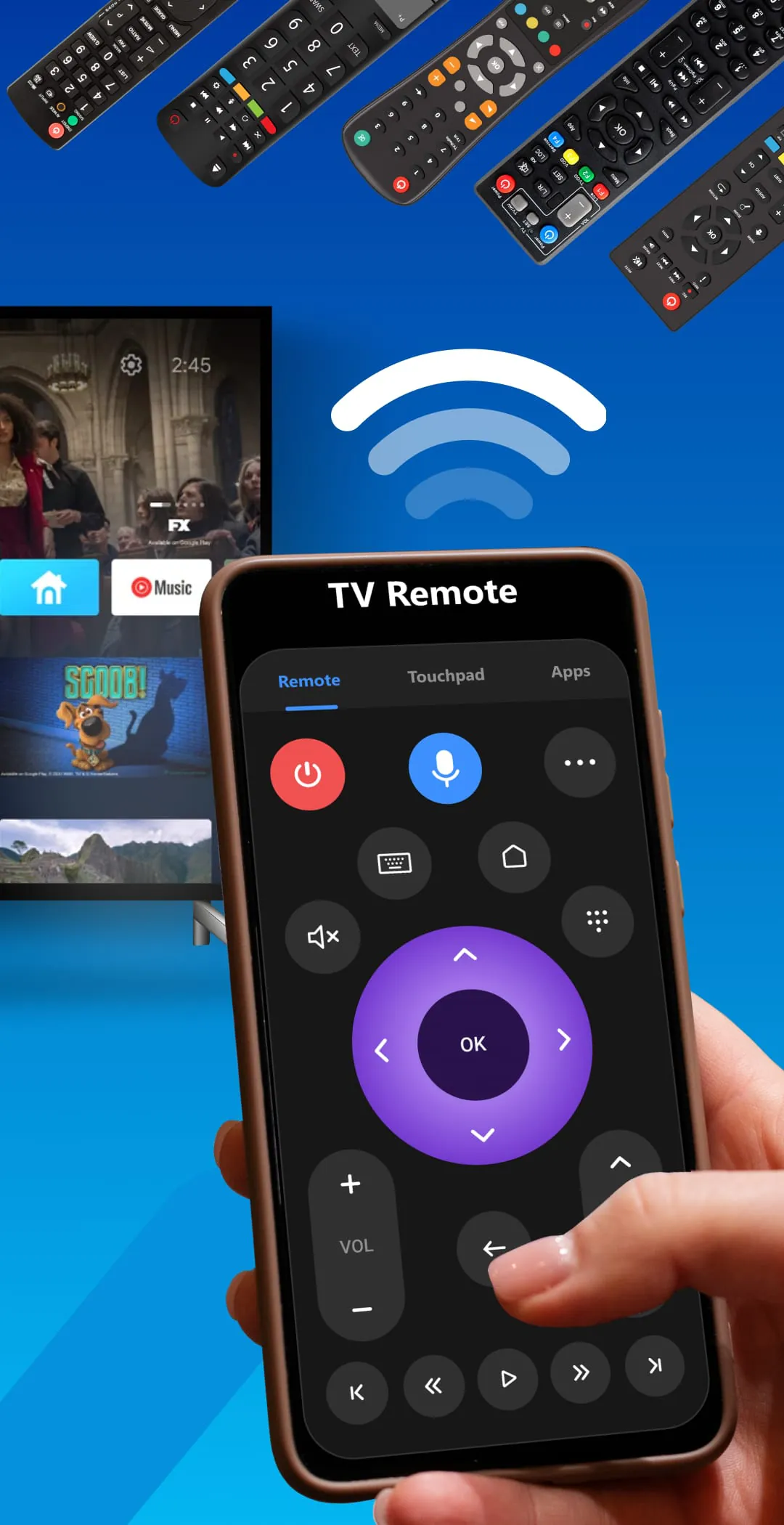 Universal TV Remote Control