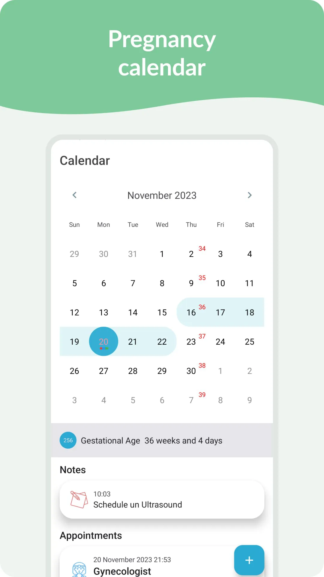 Pregnancy Tracker & Day by Day