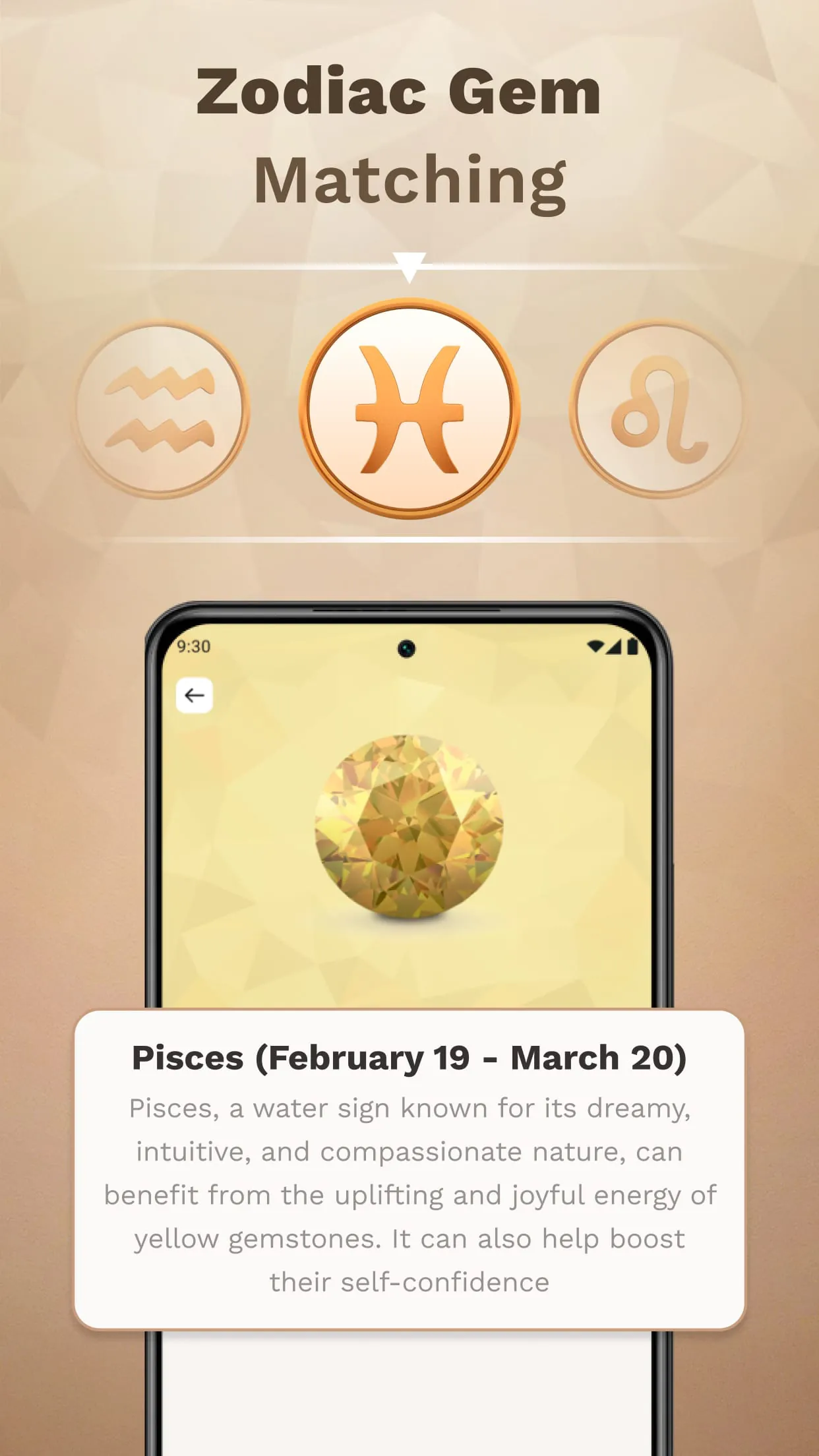 Stone Identifier Rock Scanner