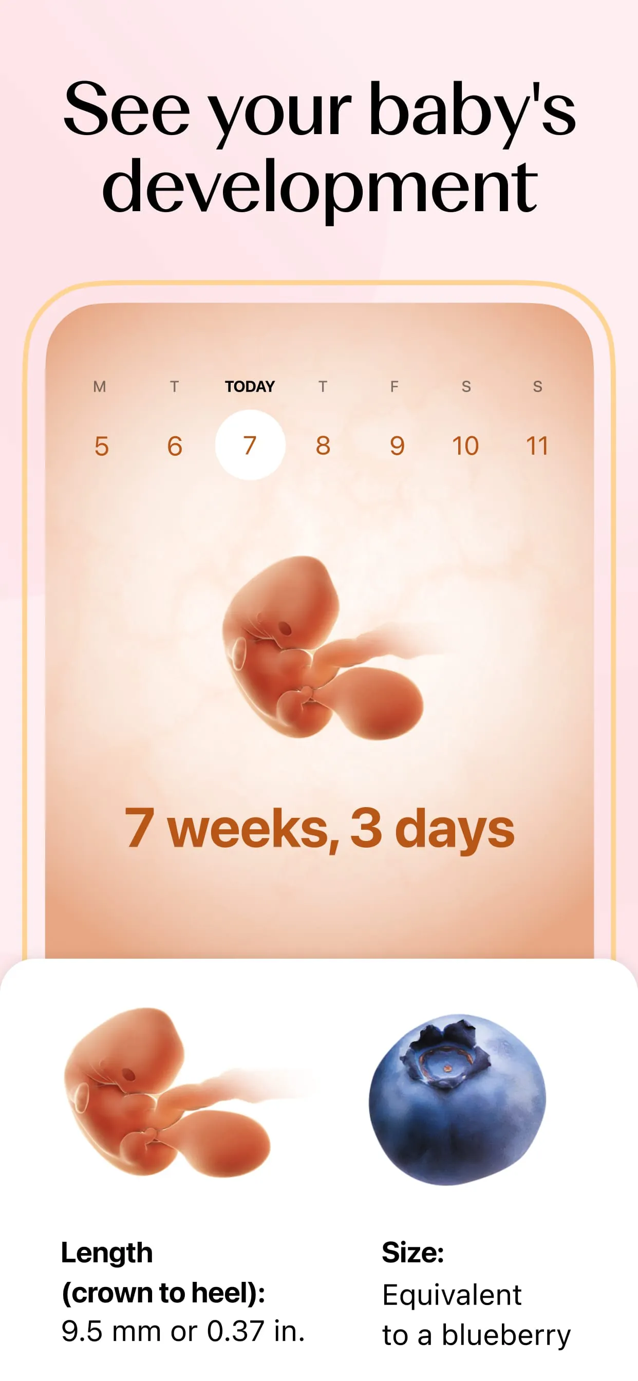 Flo Ovulation & Period Tracker