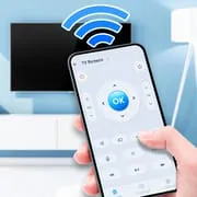 Universal TV Remote Control