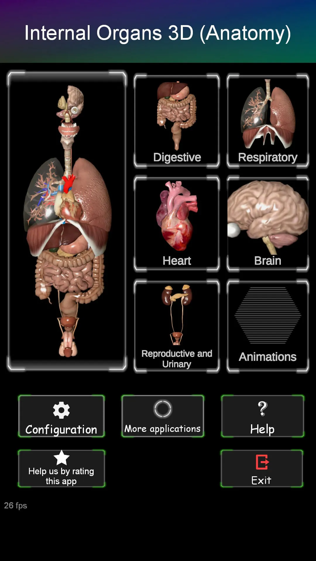 Internal Organs in 3D Anatomy
