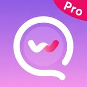 Wemet Pro