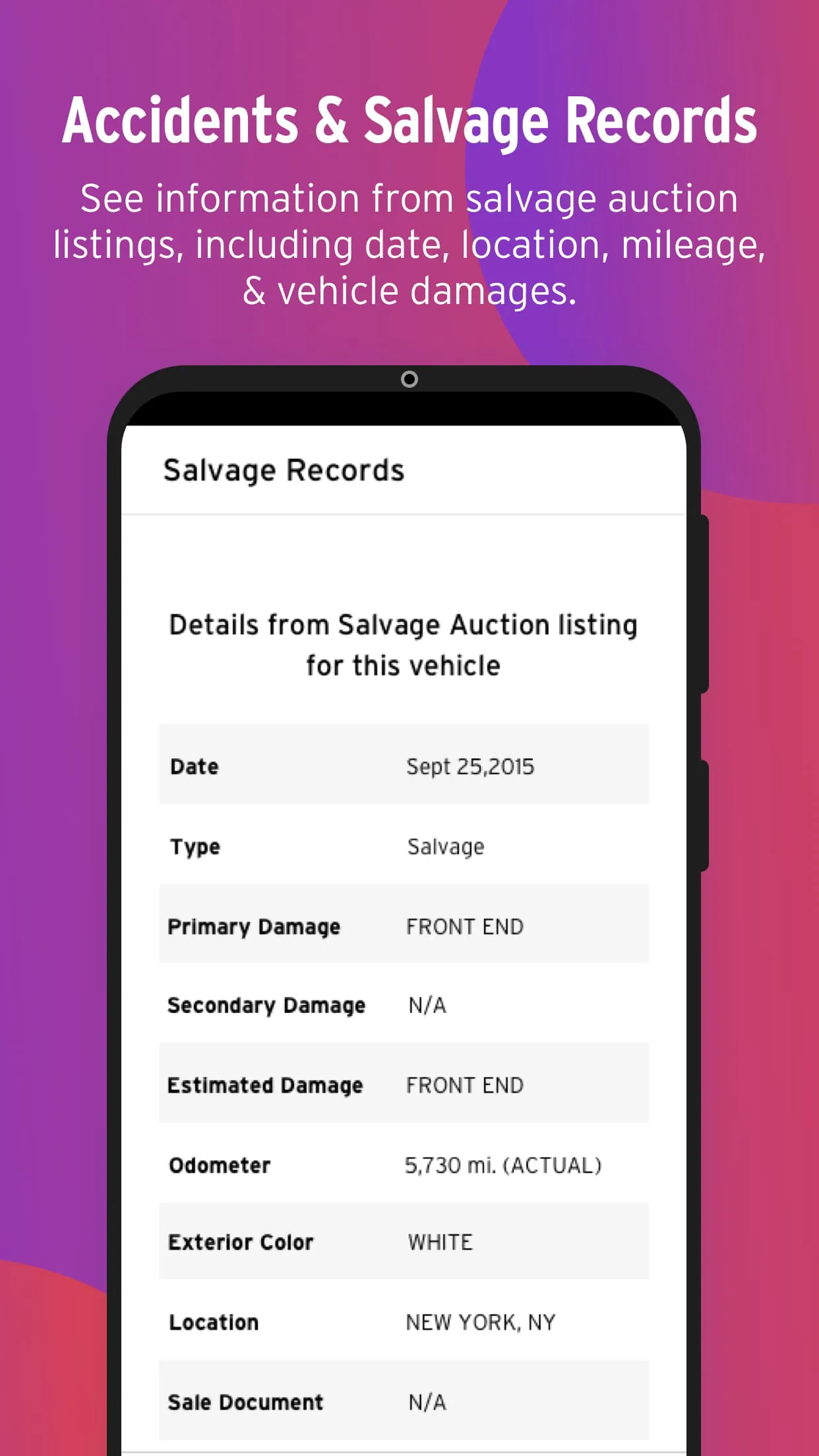 Bumper Vehicle History Reports
