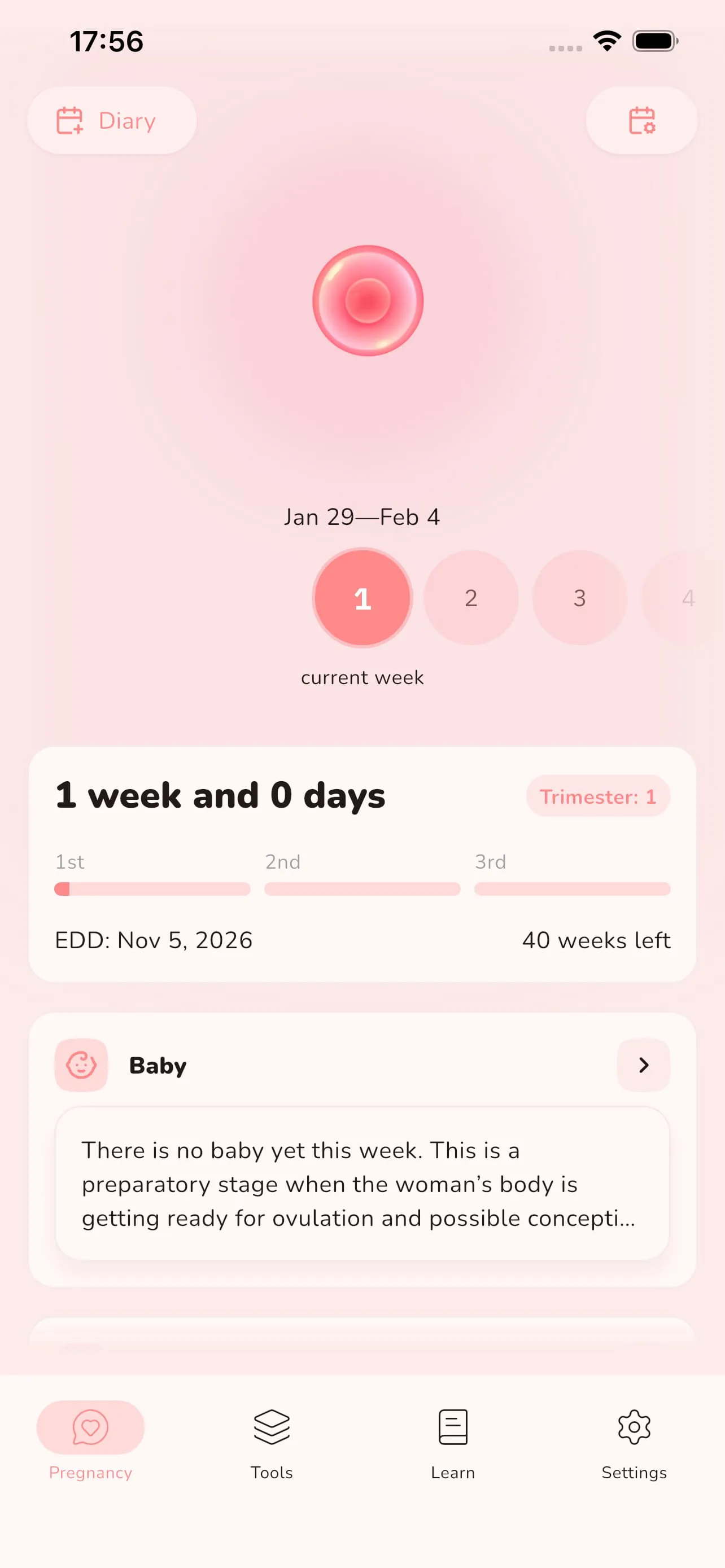 Pregnancy Tracker by Week