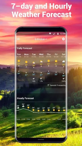 Local Weather Widget&Forecast
