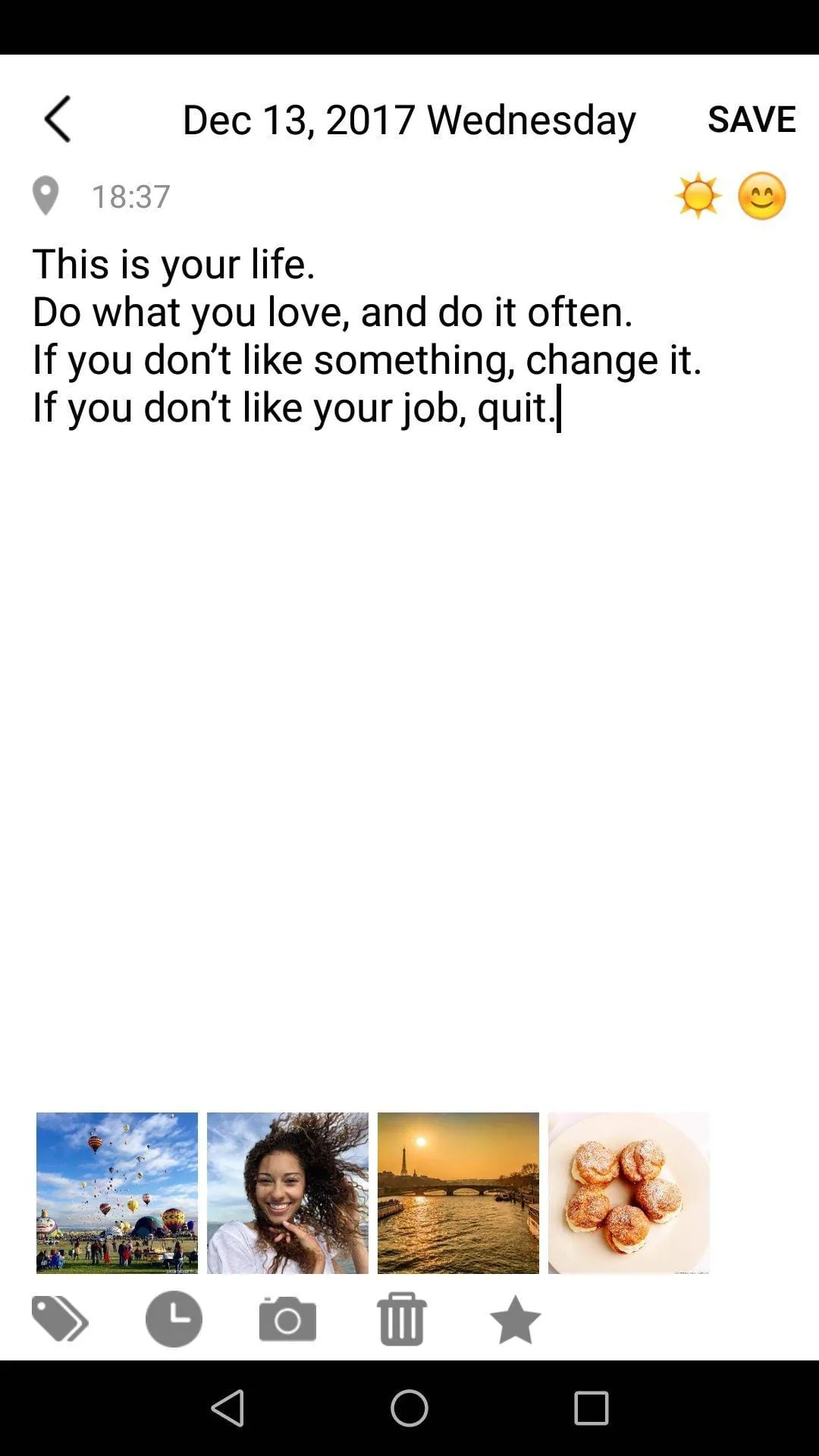 Tenyear Diary / Journal