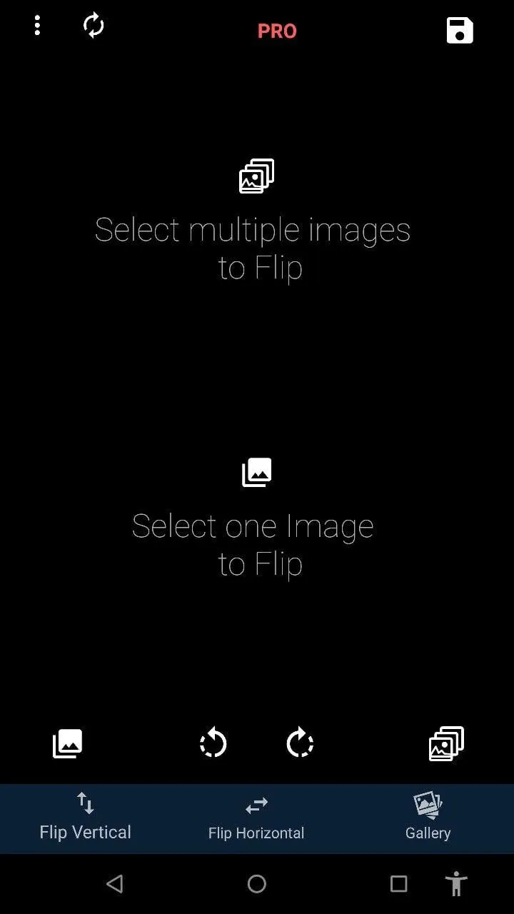 Flip Image