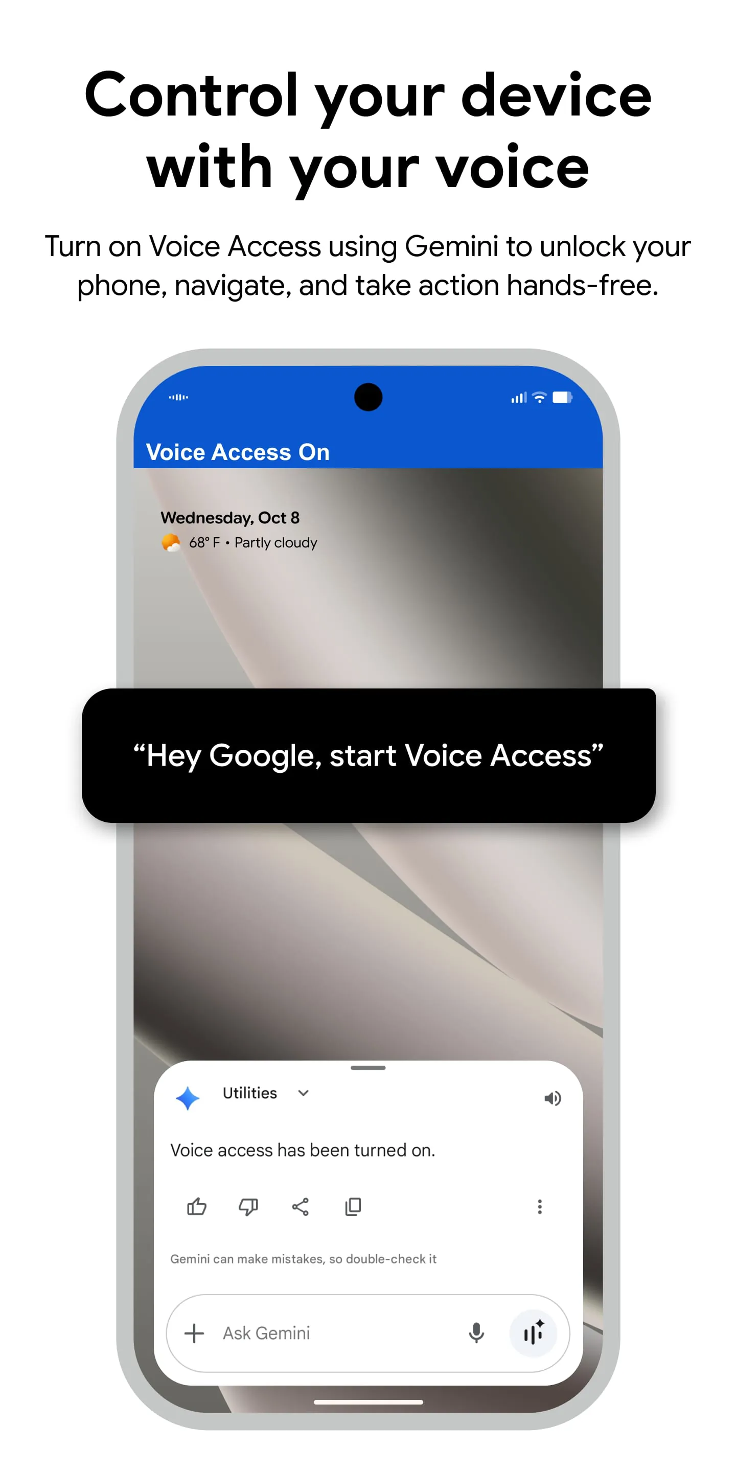 Voice Access