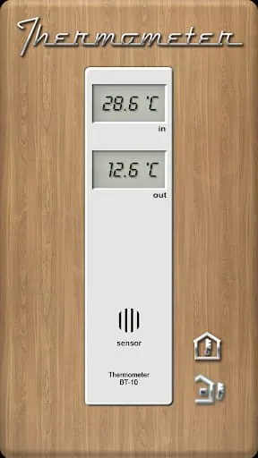 Thermometer