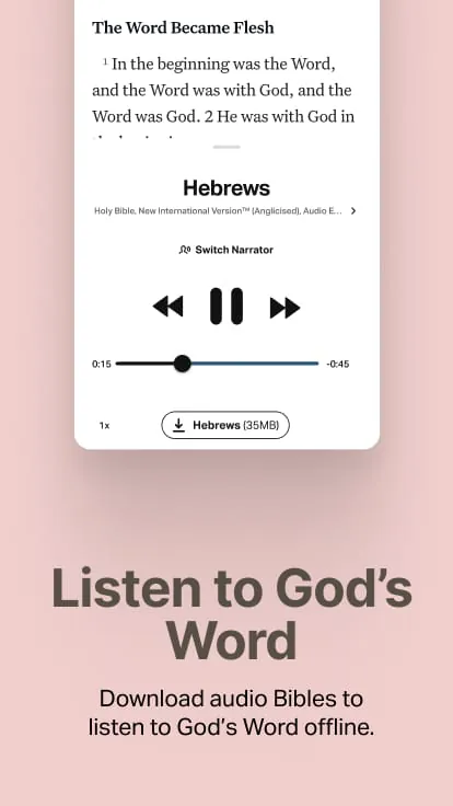 Holy Bible Offline NIV KJV App