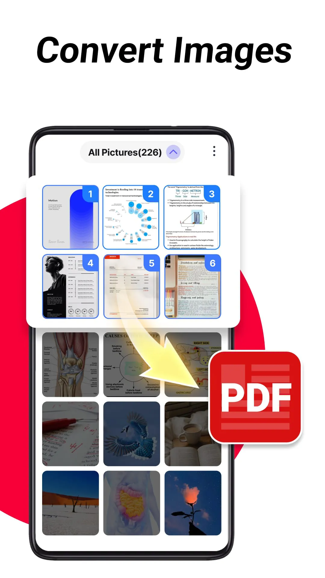 PDF Reader