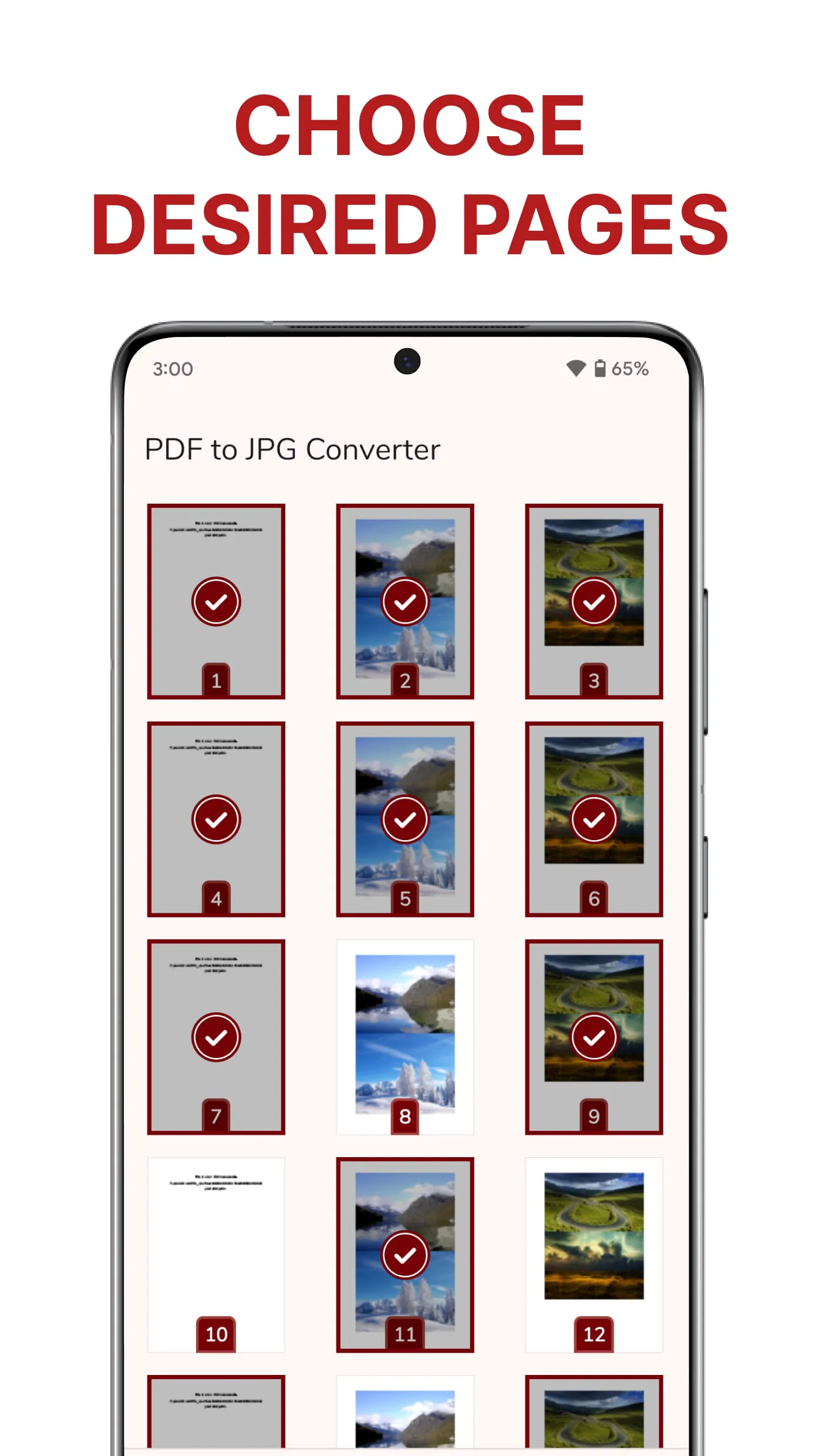 PDF to JPG Converter