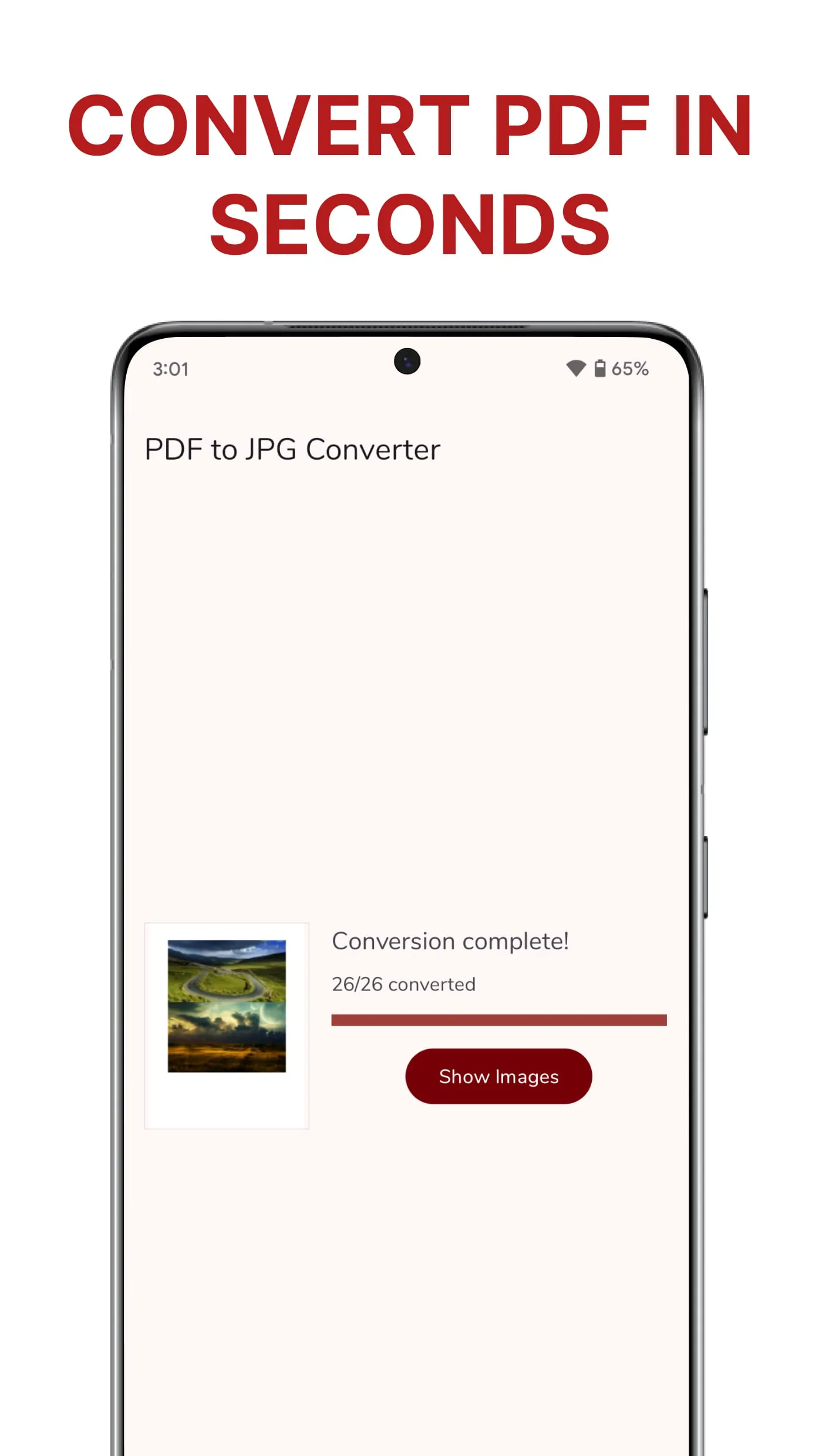 PDF to JPG Converter