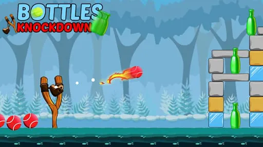 Bottle Shooting Game Knock