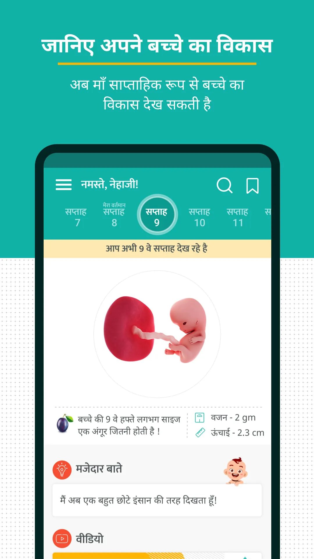 Pregnancy and Baby Tracker