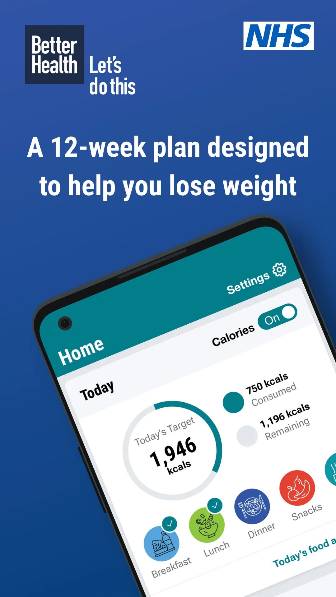 NHS Weight Loss Plan