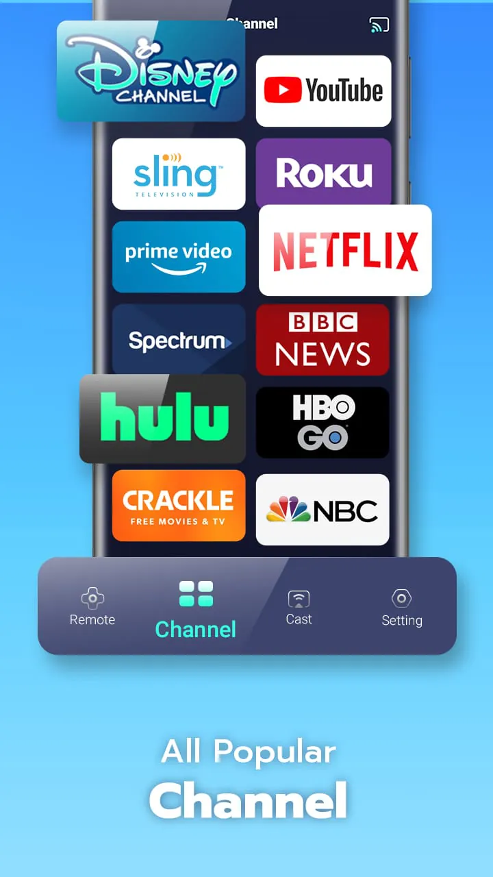 Universal TV Remote Control