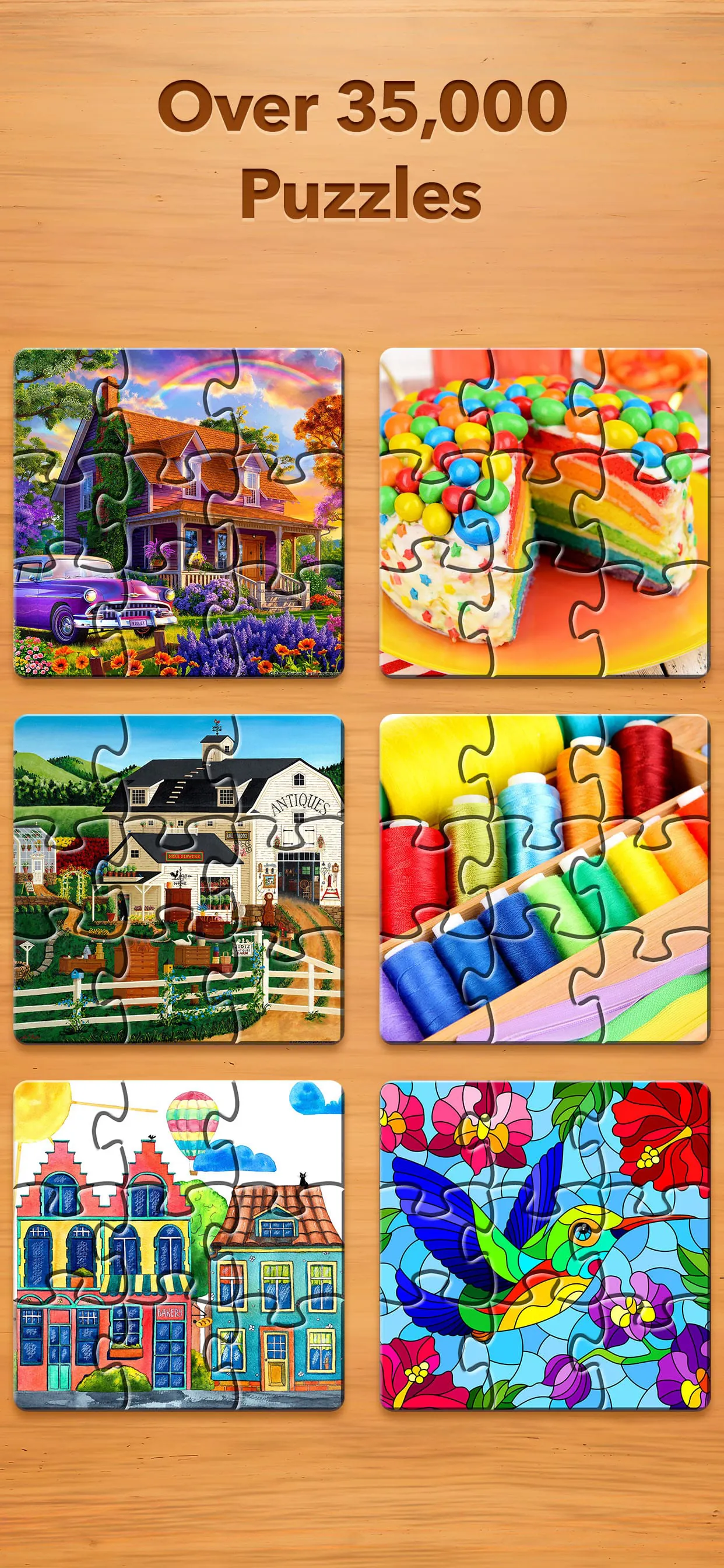 Jigsaw Puzzle