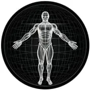 BodBot AI Workout Planner