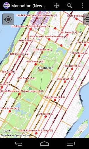 Manhattan City Map Lite