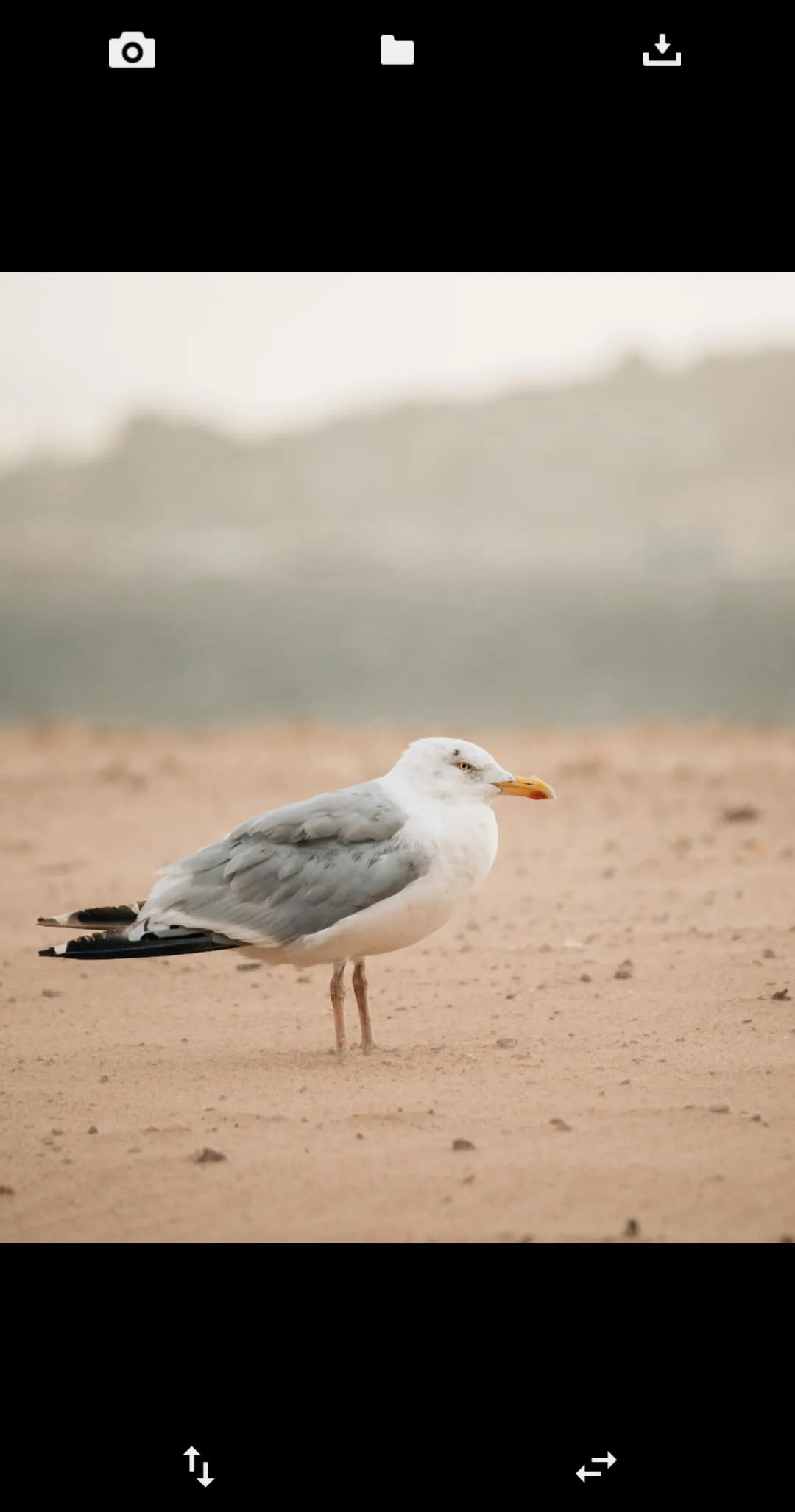 Flip Image (Mirror Image)