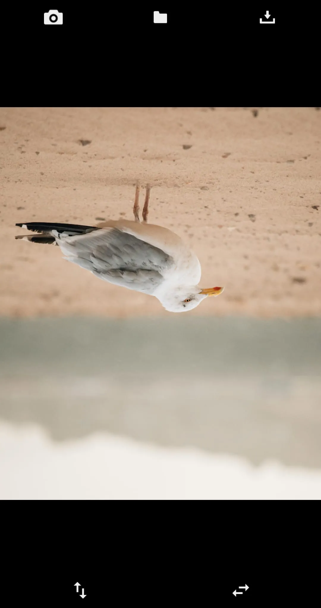 Flip Image (Mirror Image)