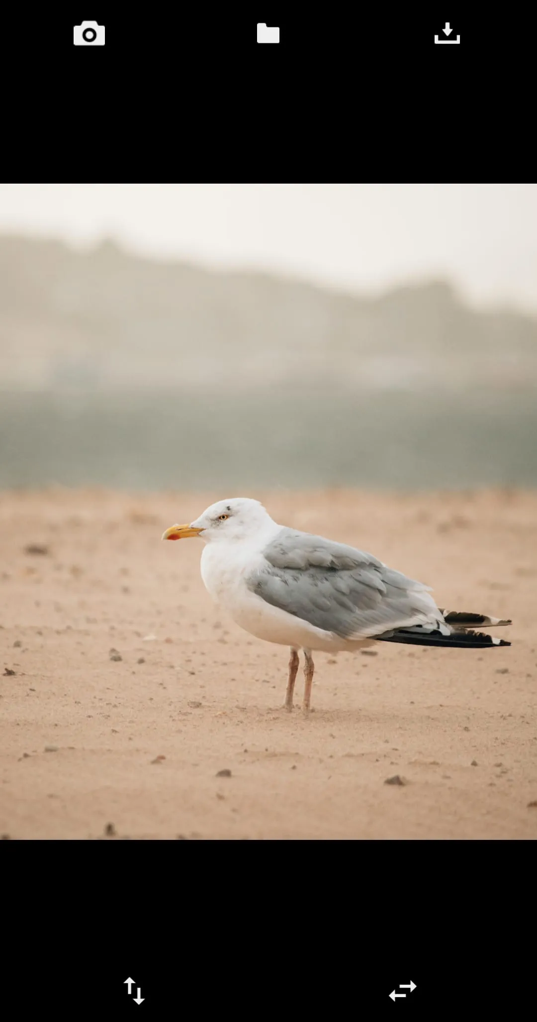 Flip Image (Mirror Image)