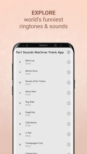 Fart Sounds Machine
