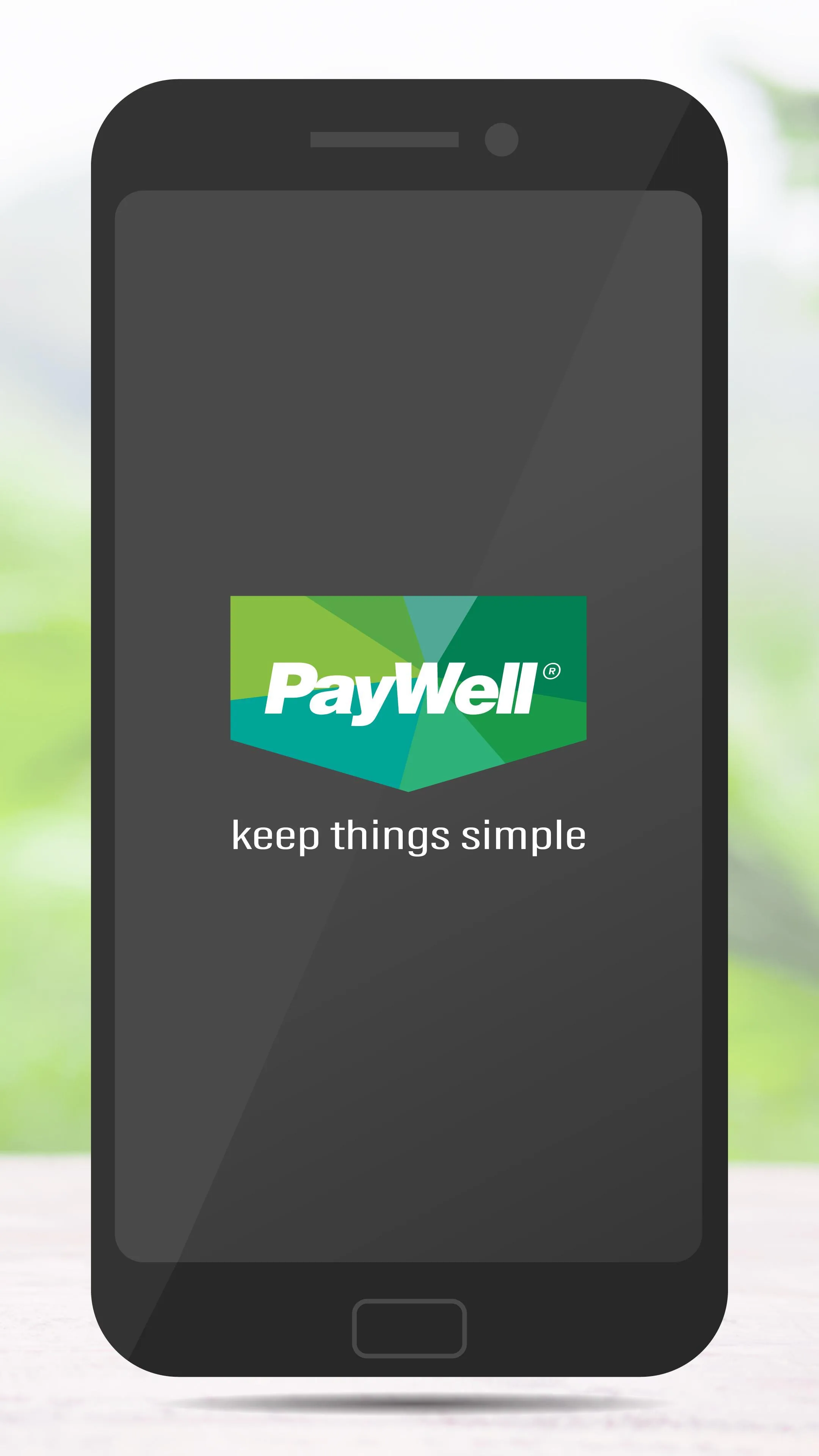 PayWell Services