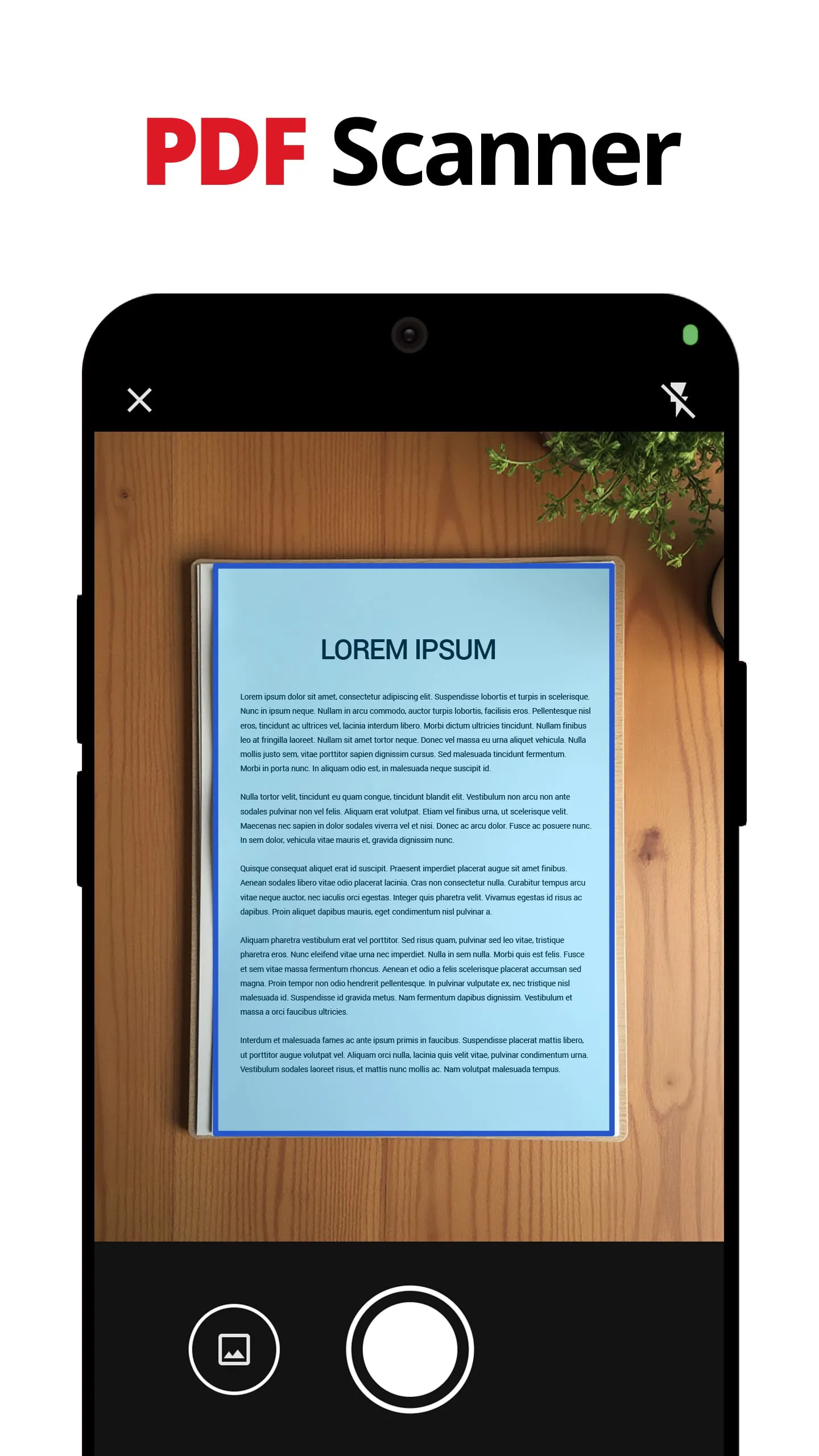 PDF Reader