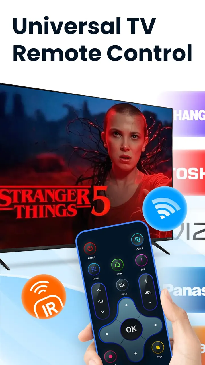 Universal TV Remote Control