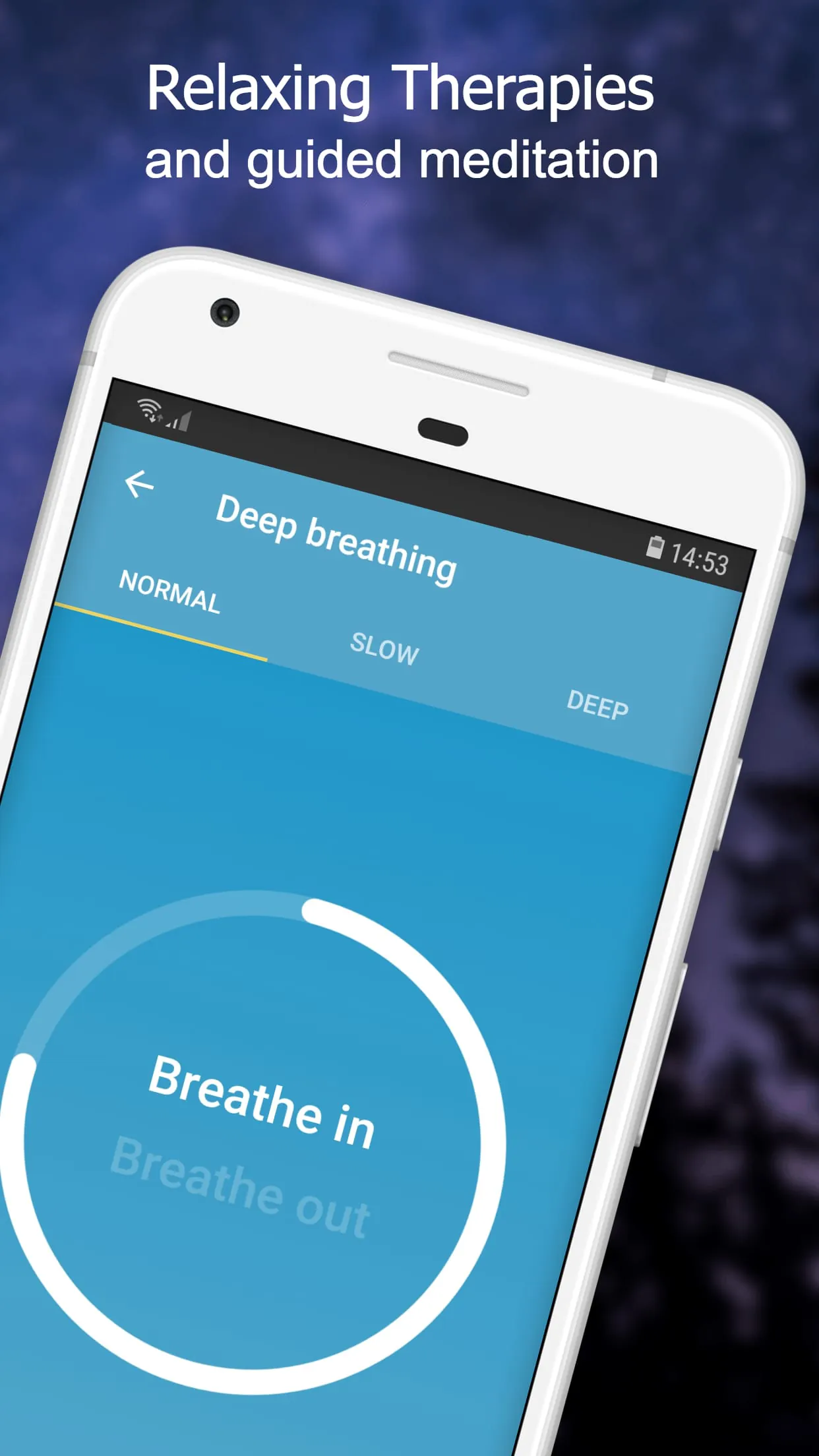 ReSound Tinnitus Relief