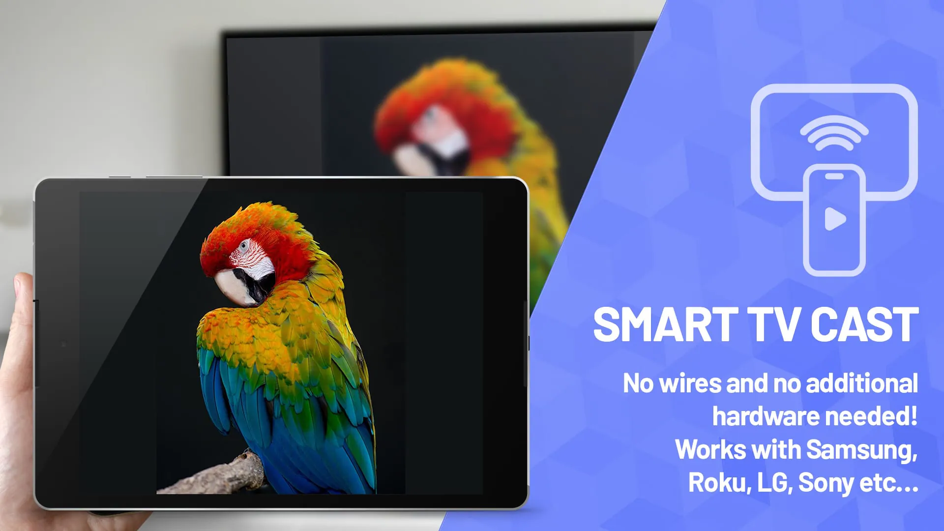 Smart TV Cast Screen Mirroring