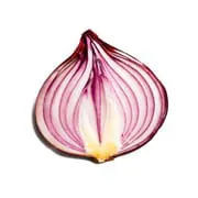 Onion Search Engine