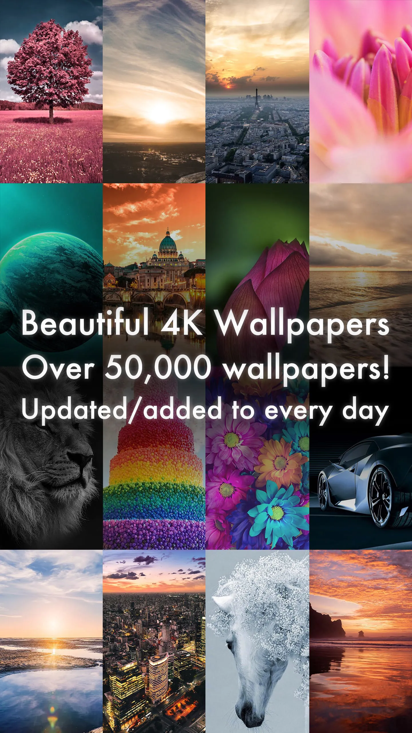 Beautiful 4K/HDR Wallpapers
