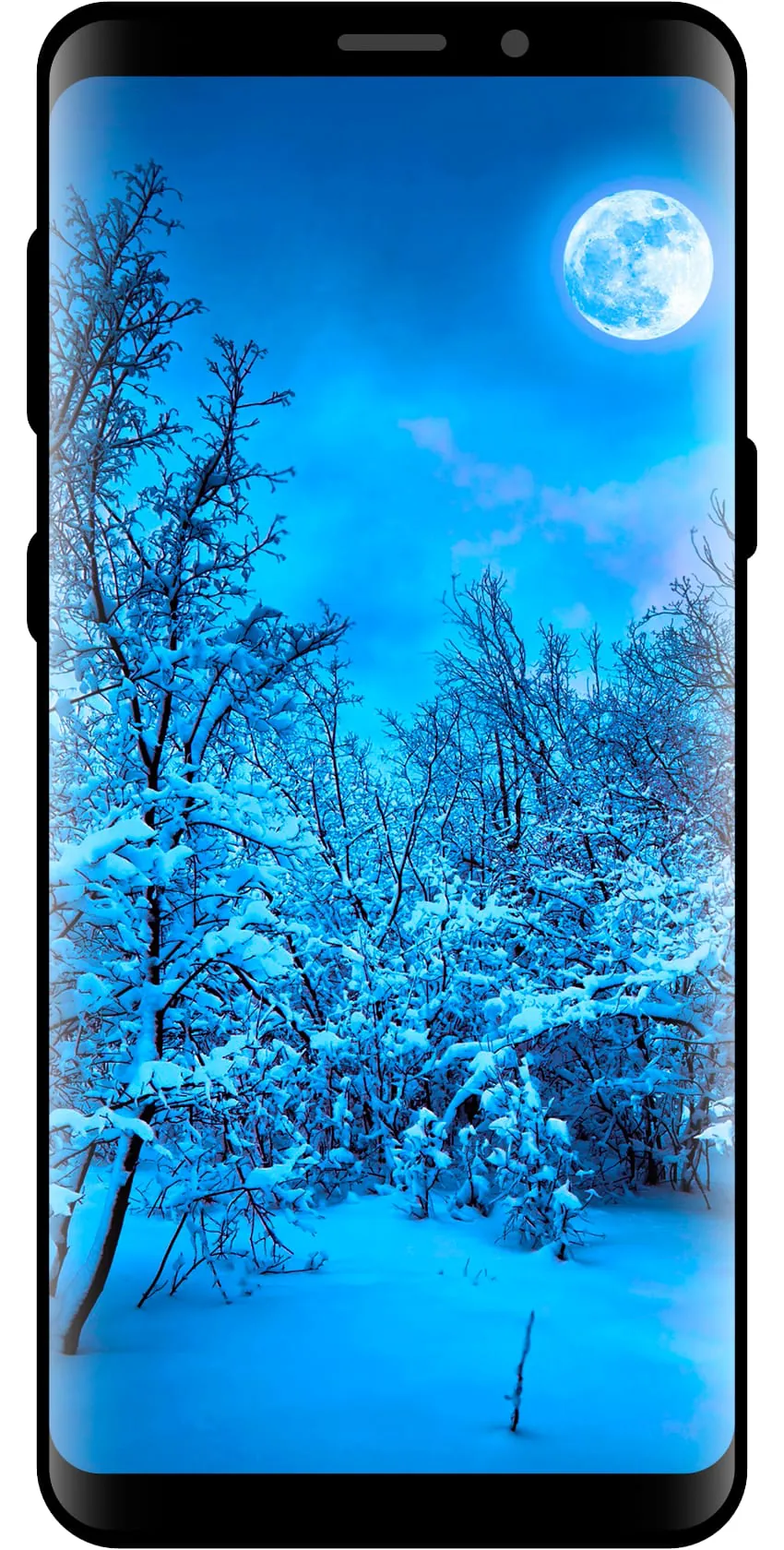 10000 Nature Wallpapers