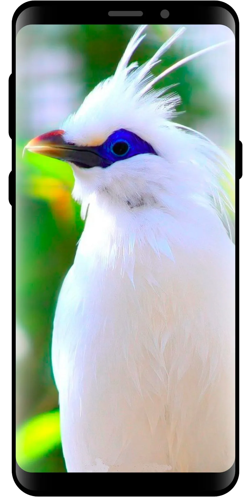 10000 Nature Wallpapers